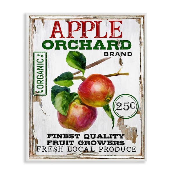 Stupell Industries Farmhouse Style Apples by Creatif Belle White Framed Food Giclee Art Print 14 in. x 11 in.