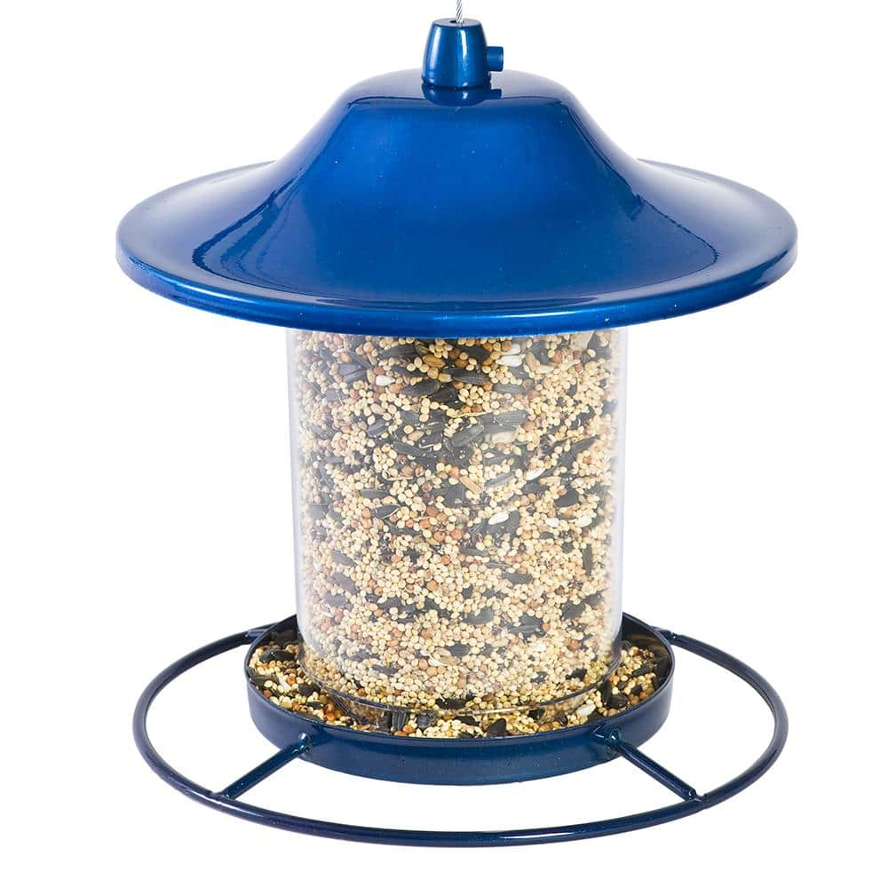 Perky-Pet Blue Sparkle Panorama Hanging Bird Feeder - 2 lb. Capacity ...