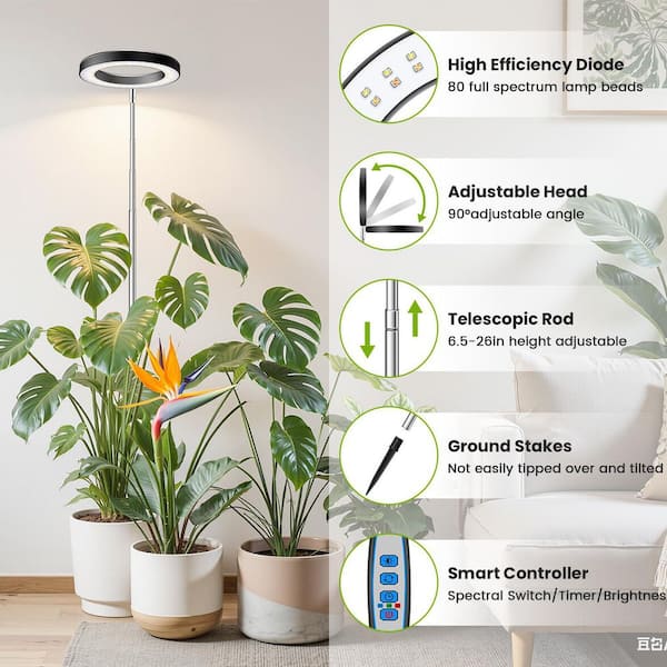 BeamBox Black Full Spectrum LED Plant Grow Light With Timer, 3