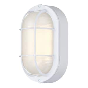 Ali Matte White Integrated LED Outdoor bulkhead Wall Lantern Sconce with Ellipse Frosted Glass Shade