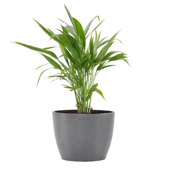 metal hanging plant stand Hanging Plant Stand – Hammer & Stain Virginia Beach