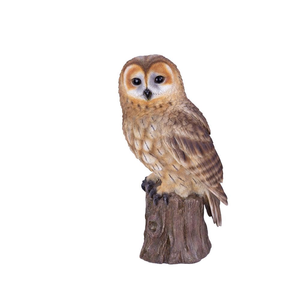 SoReal Brown Owl on branch price history on PriceWatchPro