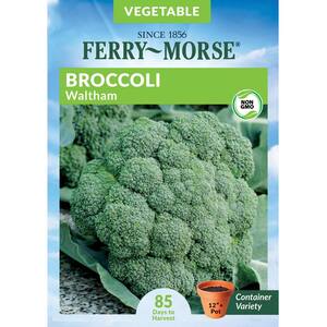 Broccoli Waltham Seed