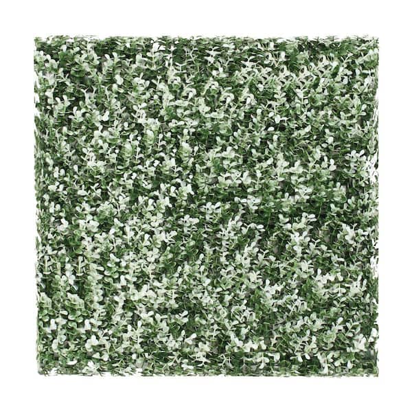 20 in. H x 20 in. W Plastic Artificial Ivy White Buxus Hedge Privacy Garden Fence for Home Backyard Garden, (1-Pieces)