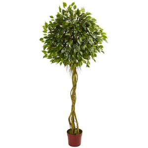 6 ft. UV Resistant Indoor/Outdoor Ficus Artificial Topiary Tree