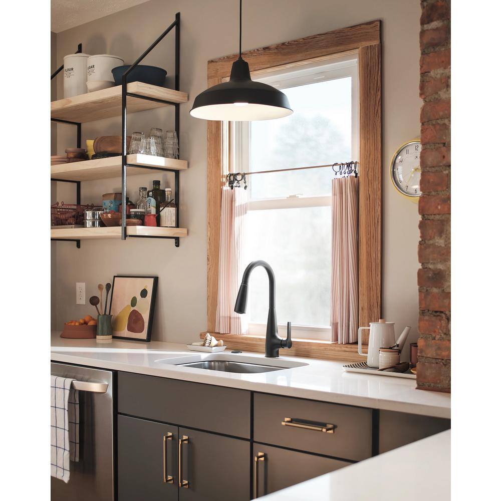 Matte Black Pull-Down Kitchen Faucet with Pull-out Spray