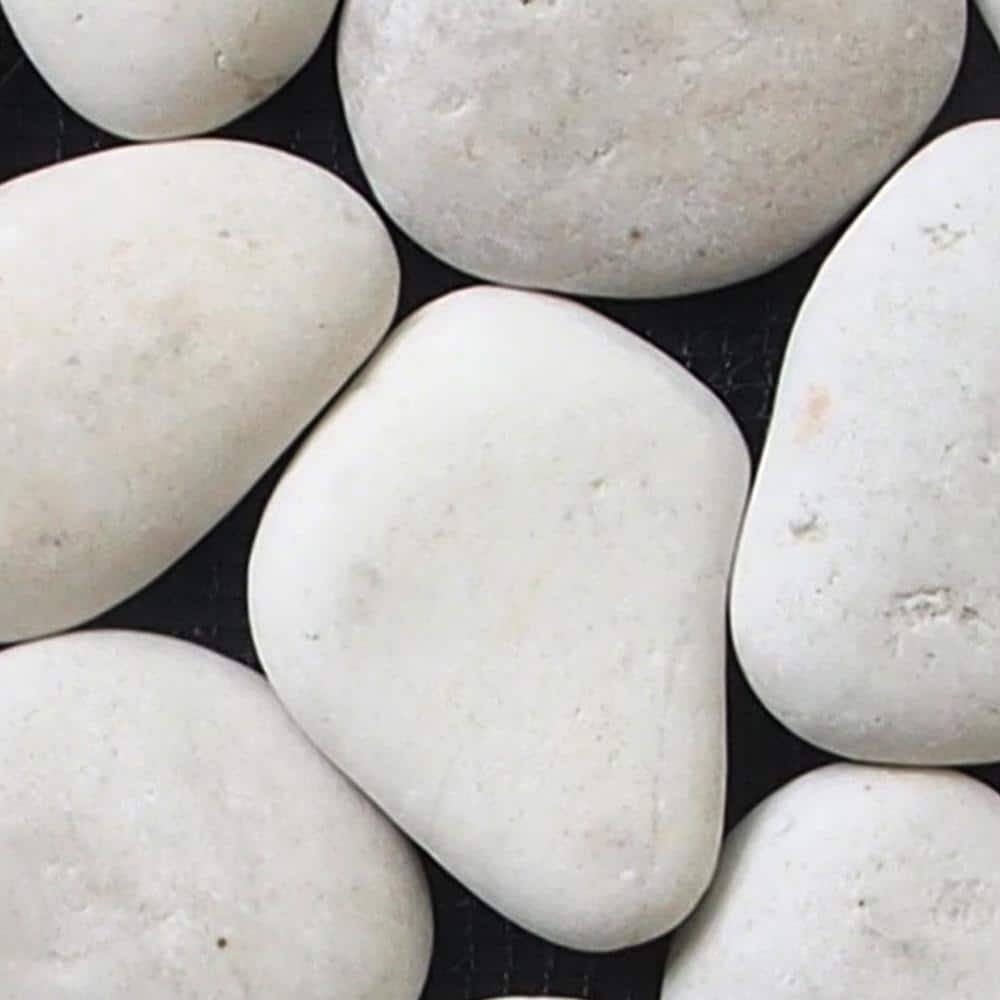 Classic Pebble Mosaic Tile Sample Color White 4 in. x 6 in. price history on PriceWatchPro