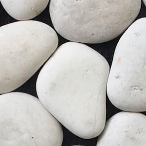Classic Pebble Mosaic Tile Sample Color White 4 in. x 6 in.