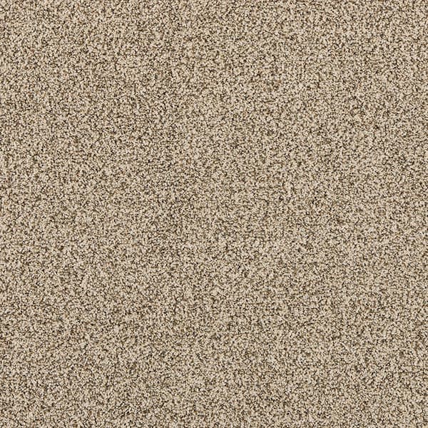 TrafficMaster Household Hues I SandStone Beige 31 oz. Polyester Textured Installed Carpet