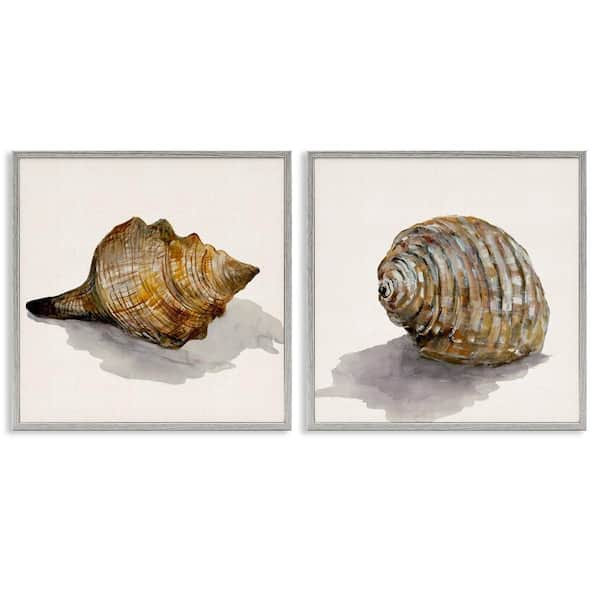 Stupell Industries Neutral Beach Shells by Jacob Q 2 Pieces Gray Framed Coastal Giclee Art Print 12 in. x 12 in.