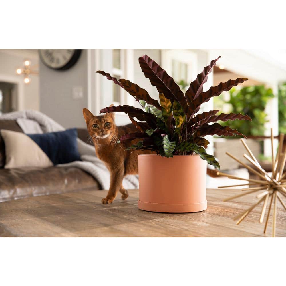 Muted Terra Cotta Modern Round Resin Planter with Saucer 8.5"