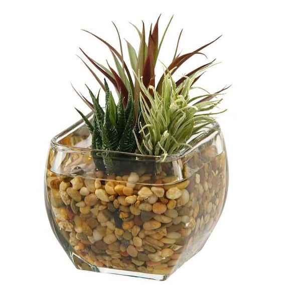 6 in. Indoor Aloe and Easter Grass Artificial Plant in Glass Cube-Lifelike Plant for Home, Office, or Gifts