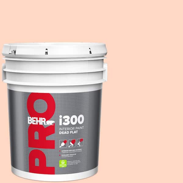 BEHR PRO 5 gal. #220A-2 Friendship Dead Flat Interior Paint
