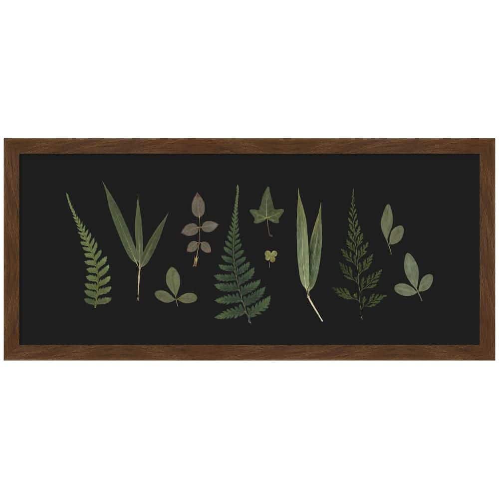 Carlisle Botanical Leaf Study Panel Black by Stephanie Klatt Nature Framed Art Print 11 in. x 25 in. price history on PriceWatchPro