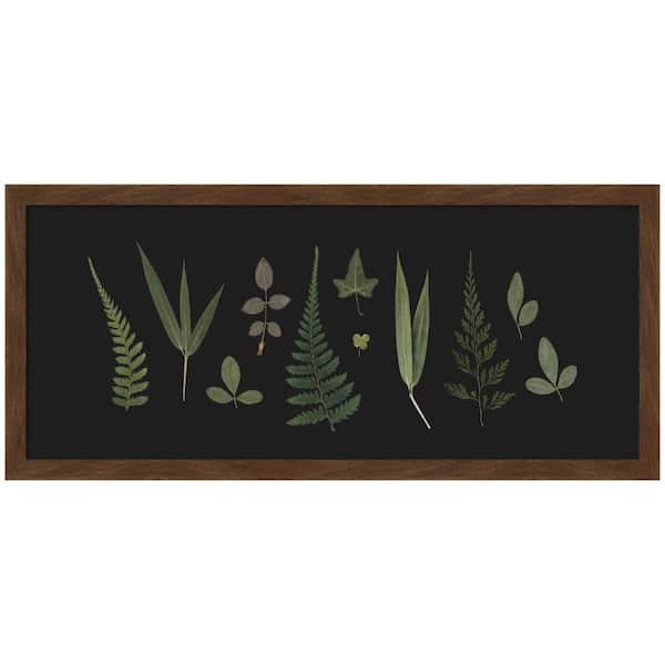 Carlisle Botanical Leaf Study Panel Black by Stephanie Klatt Nature Framed Art Print 11 in. x 25 in.