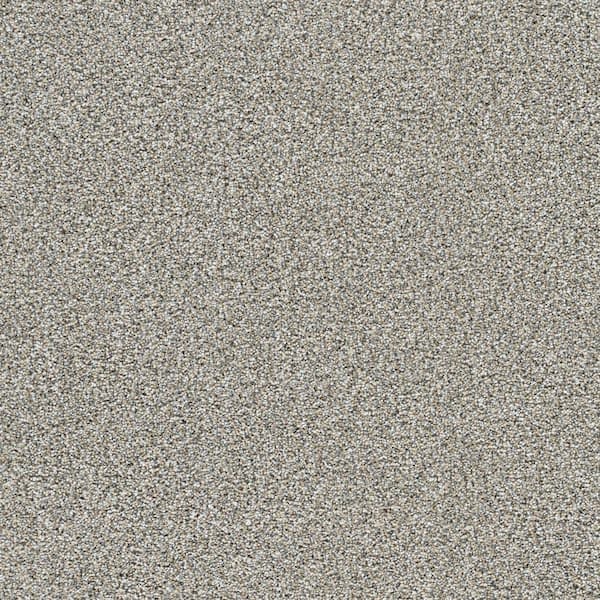 Lifeproof 8 in. x 8 in. Texture Carpet Sample - Evermore I - Color Always