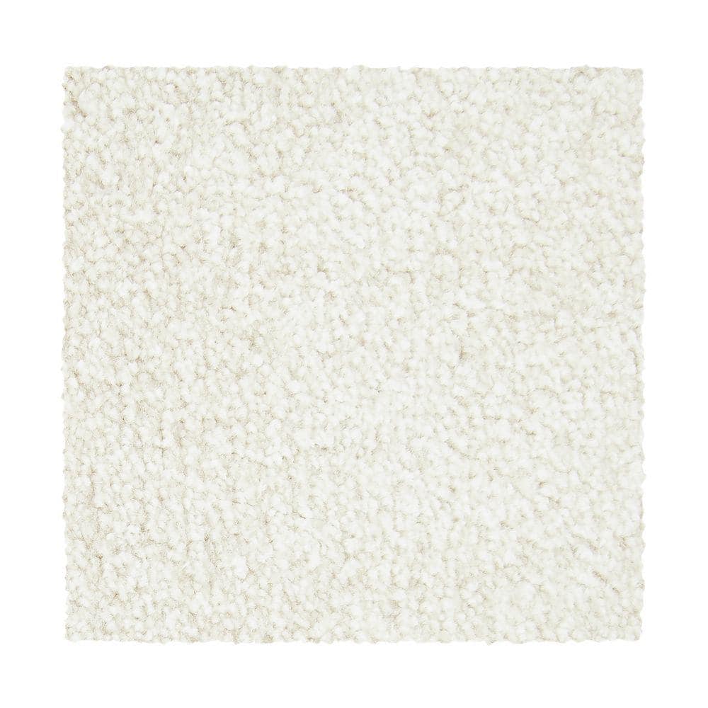 8 in. x 8 in. Texture Carpet Sample - Hainsridge -Color Luxury price history on PriceWatchPro