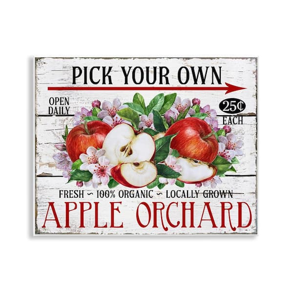 Pick Your Own Apples by Creatif Belle Unframed Food Graphic Art Print 11 in. x 14 in.