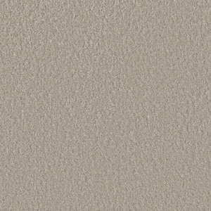 Blissful III - Gleeful Gray - 75 oz. SD Polyester Texture Installed Carpet