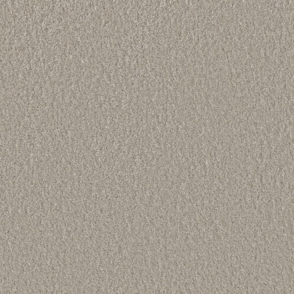 Blissful III - Gleeful Gray - 75 oz. SD Polyester Texture Installed Carpet