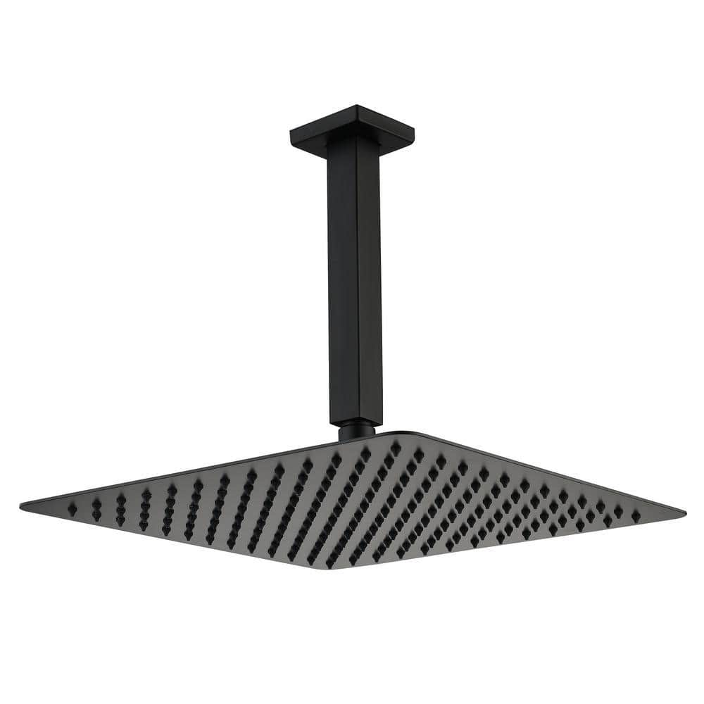 Utopia 4niture Kiann 2-Spray Patterns with 1.8 GPM 16 in. Ceiling Mount ...