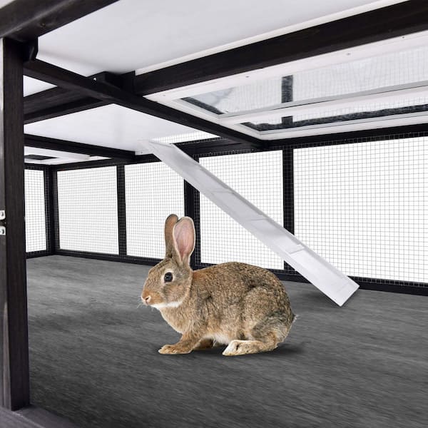 6 rabbit hutch