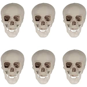 4.5 in. Skeleton Skulls Tabletop Halloween Decorations (Set of 6)