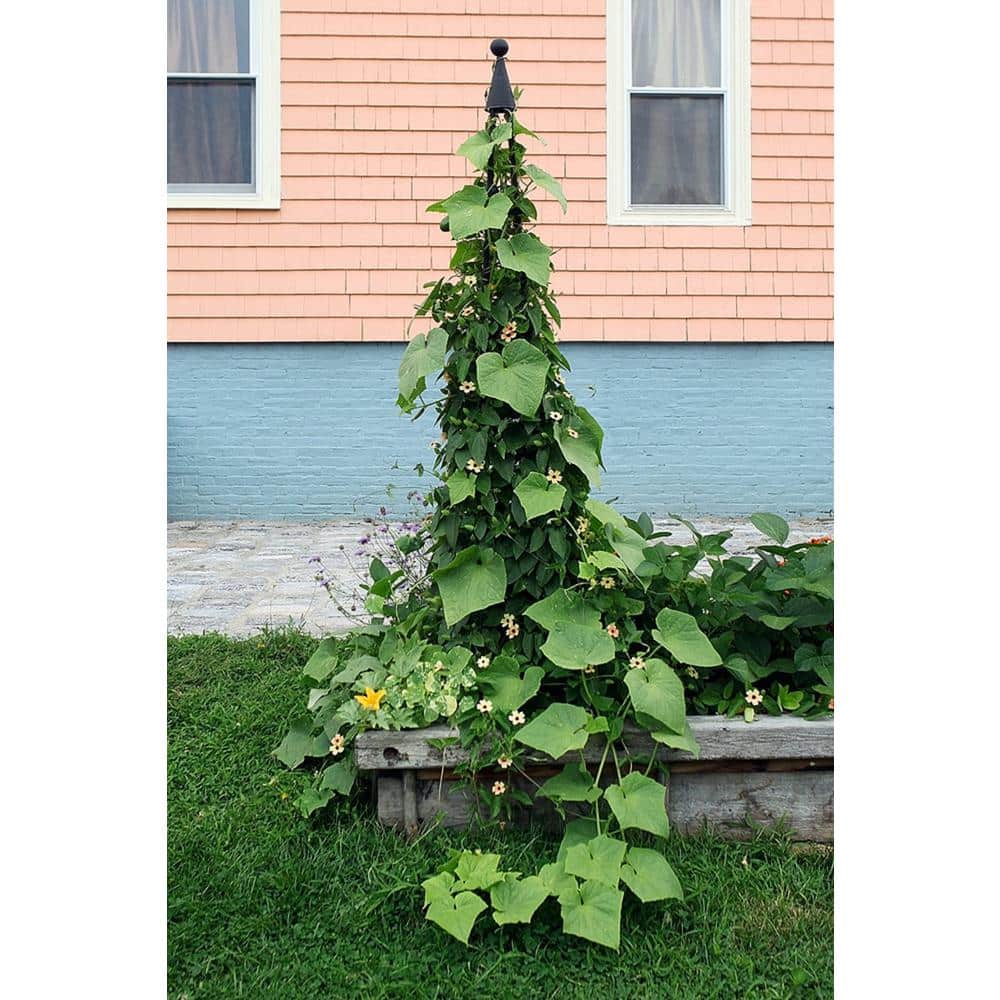 Graphite Wrought Iron Garden Obelisk Trellis, 84 Inches