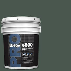 5 gal. #ECC-45-3 Conifer Satin Exterior Paint