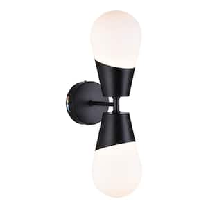 Houston 5 in. 2-Light Modern Unique Matte Black Integrated LED Adjustable 3 CCT Vanity Light with White Glass Shade