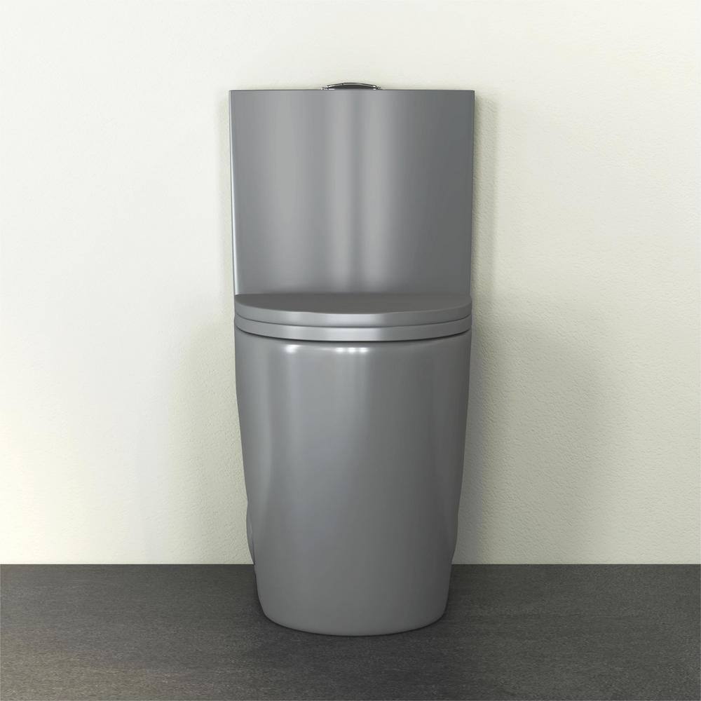 Reno Glacier Gray Elongated Dual Flush One-Piece Toilet