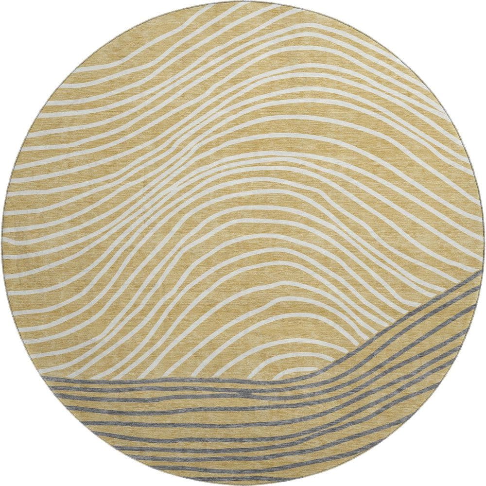 Mayfield Premium Machine Washable Abstract AMF2350 Gold 8 ft. x 8 ft. Round Rug price history on PriceWatchPro