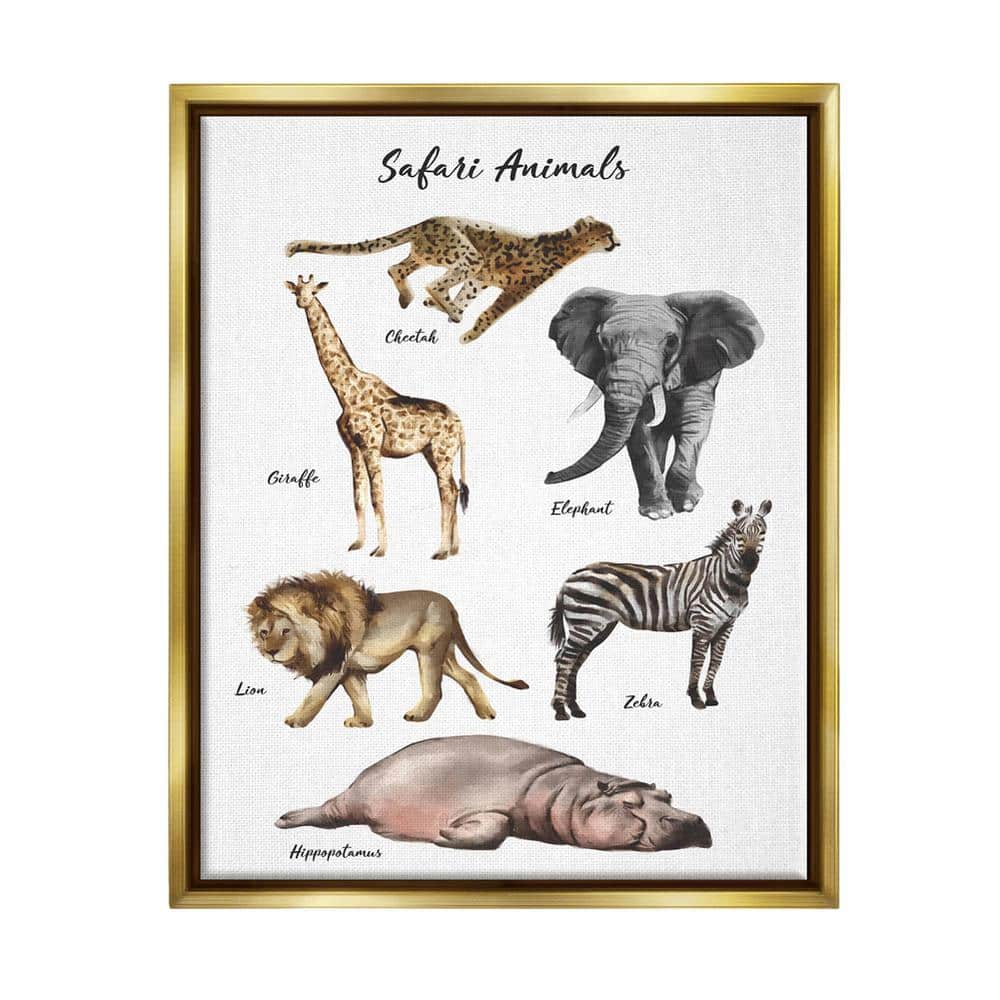 Safari Animal Chart Playful Watercolor Illustrations by Ziwei Li Floater Frame Animal Wall Art Print 25 in. x 31 in. price history on PriceWatchPro