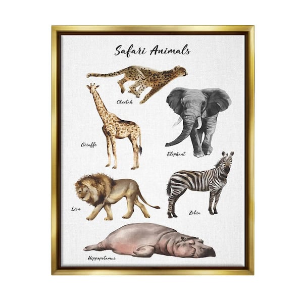 The Stupell Home Decor Collection Safari Animal Chart Playful Watercolor Illustrations by Ziwei Li Floater Frame Animal Wall Art Print 25 in. x 31 in.