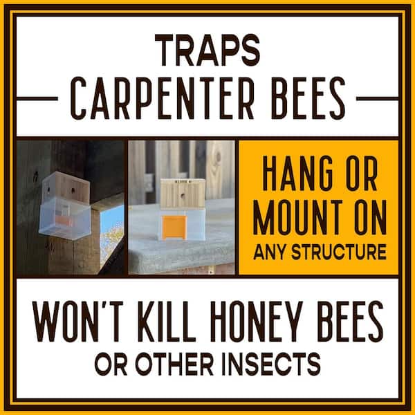 Outdoor Carpenter Bee Hanging Insect Trap with 15 ft. Coverage
