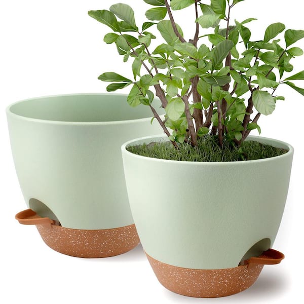 Angel Sar 9 in. Brown and Green Plastic Flower Pots with Drainage Holes and Saucer (2-Pack)