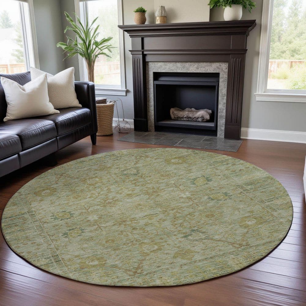 Mayfield Premium Machine Washable Abstract AMF1106 Sage 8 ft. x 8 ft. Round Rug price history on PriceWatchPro