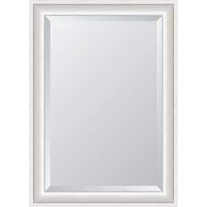 Sterling 30.5 in. W x 42.5 in. H Rectangle Silver Framed Mirror