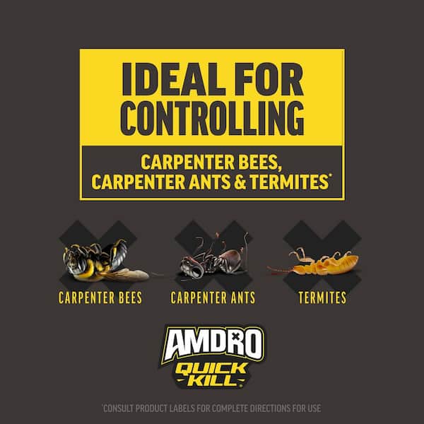 AMDRO Quick Kill 18 oz. Indoor and Outdoor Carpenter Bee, Ant and