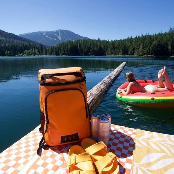Misopily 13 qt. Insulated Leak Proof Backpack Cooler 30/45  display picture 1