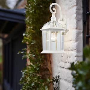 Wentworth 1-Light Small White Outdoor Wall Light Fixture with Clear Glass