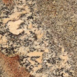 3 in. x 3 in. Granite Countertop Sample in Netuno Bordeaux
