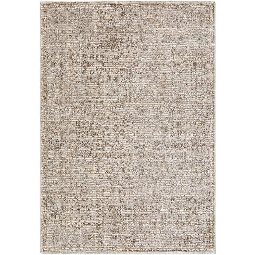 Galey Alix x  Myrtle Avenue I Vintage Medallion Area Rug, 7'10 in. x 10'2 in. (8' x 10'), Taupe price history on PriceWatchPro