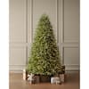 7.5 ft. Grand Duchess Balsam Fir LED Christmas Tree