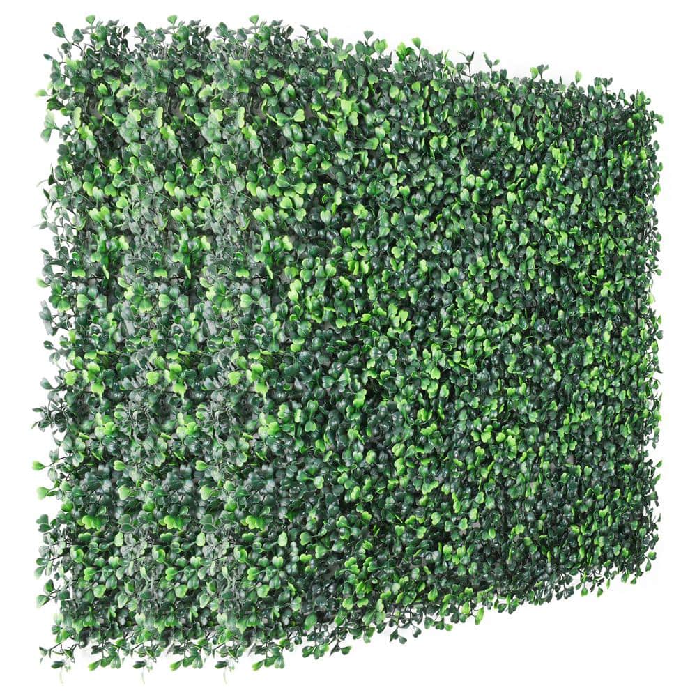 12- Pieces 20 in. x 20 in. Artificial Grass Wall Panels Faux Boxwood Hedge 