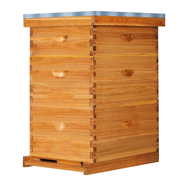 10-Frame Langstroth Bee Hive Beeswax Coated Cedarwood Includes Deep Medium Boxes Frames Foundations Beekeeping Kit