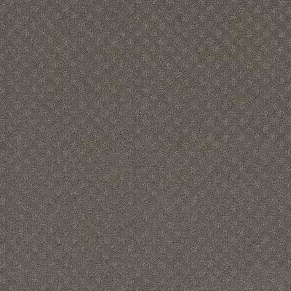 8 in. x 8 in. Pattern Carpet Sample-Bell Loop-Color Celestial price history on PriceWatchPro