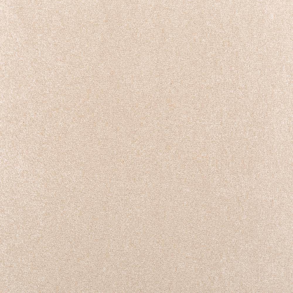 8 in. x 8 in. Texture Carpet Sample - Waking Up I - Color Misty price history on PriceWatchPro