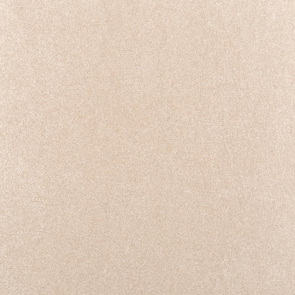 8 in. x 8 in. Texture Carpet Sample - Waking Up II - Color Misty price history on PriceWatchPro