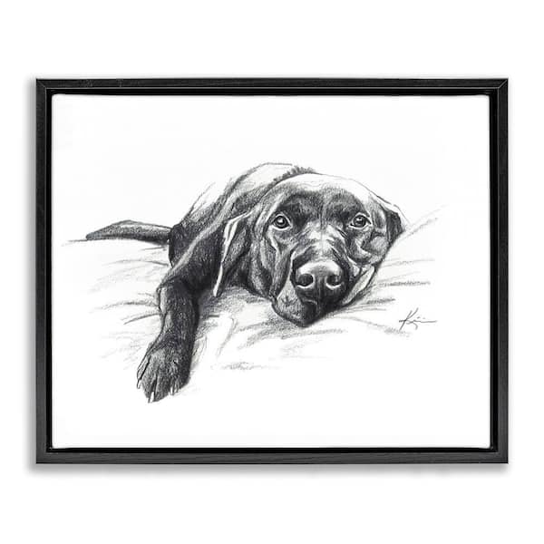 Naptime Black Labrador by Lindsay Kivi Fine Art Black Floater Frame Animal Graphic Art Print 25 in. x 31 in.